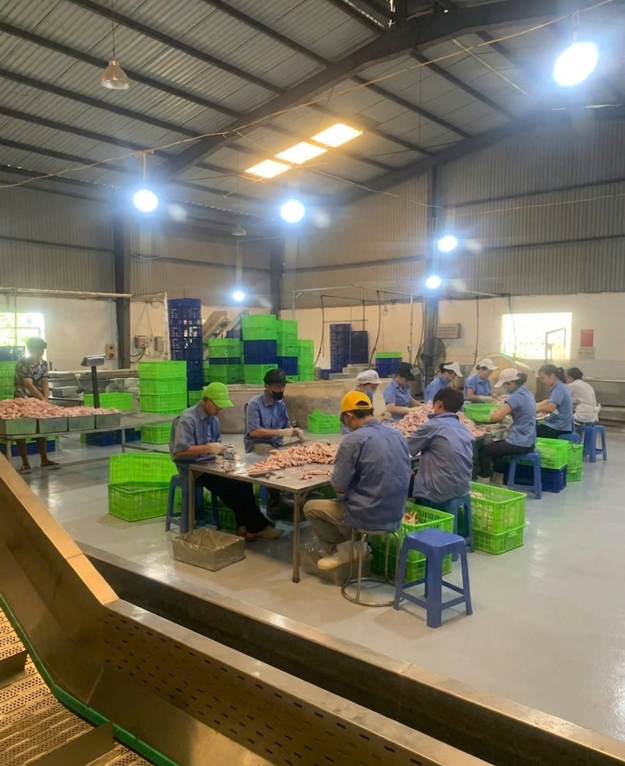 Factory 3